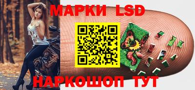крисы Будённовск