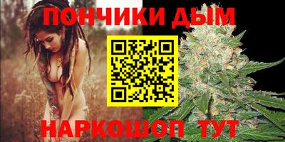 крисы Будённовск